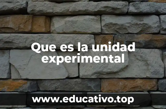 Que es la unidad experimental