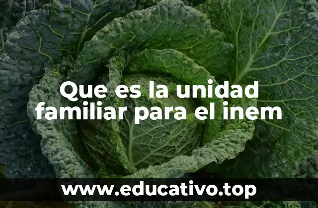 Que es la unidad familiar para el inem
