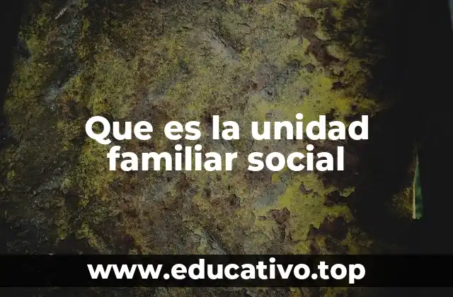 Que es la unidad familiar social