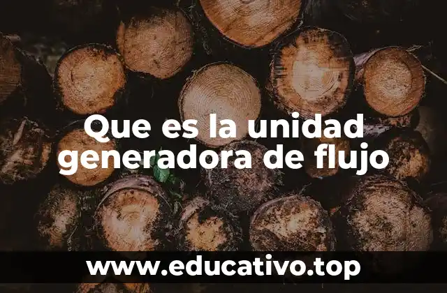 Que es la unidad generadora de flujo