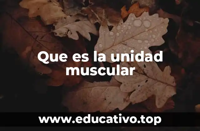 Que es la unidad muscular