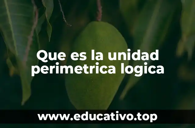 Que es la unidad perimetrica logica
