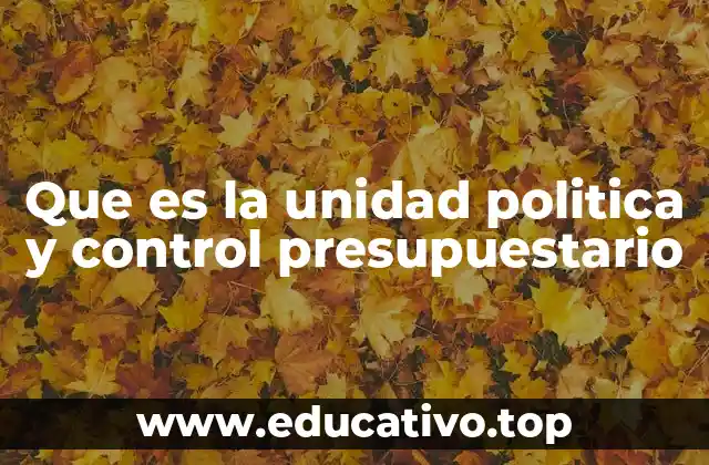 Que es la unidad politica y control presupuestario