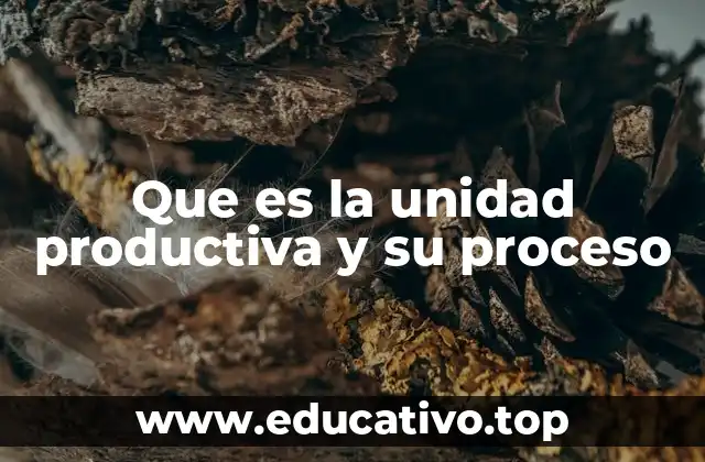 Que es la unidad productiva y su proceso