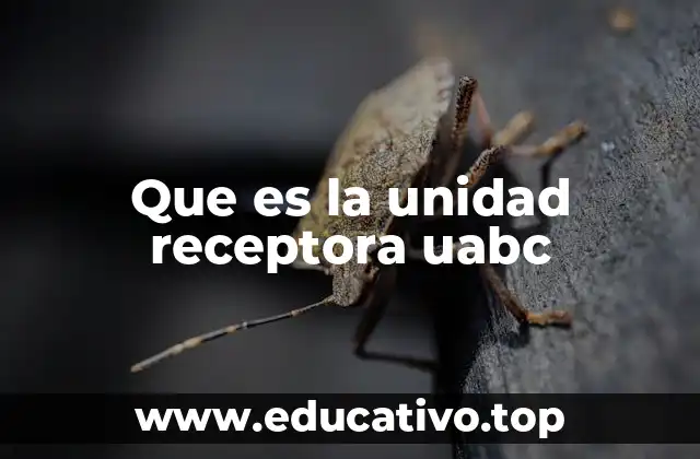 Que es la unidad receptora uabc