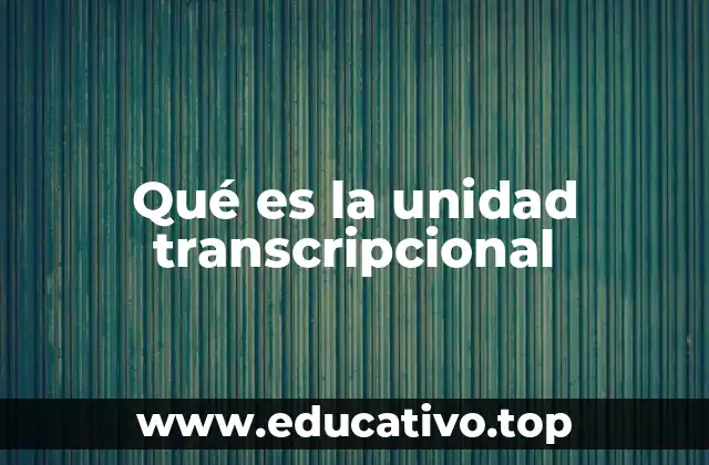 Qué es la unidad transcripcional