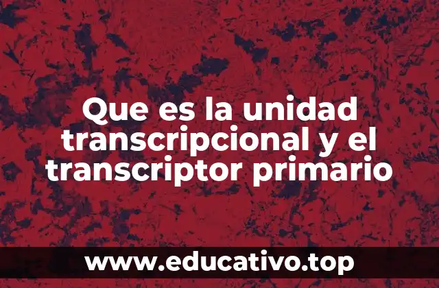 La importancia de la transcripción en la regulación génica