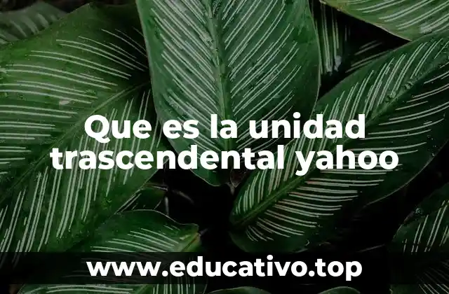Que es la unidad trascendental yahoo