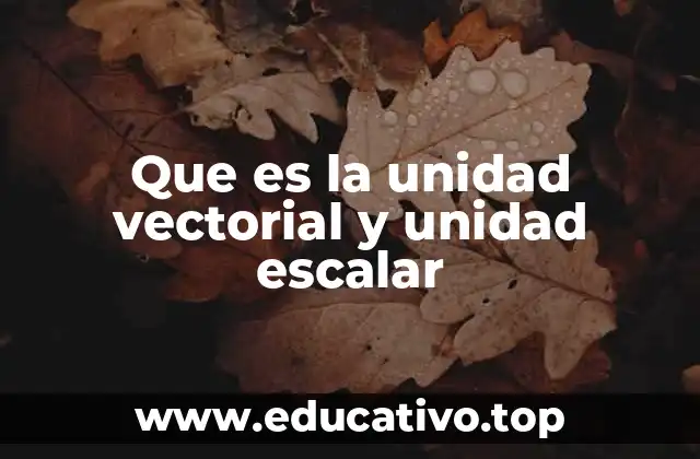 Que es la unidad vectorial y unidad escalar