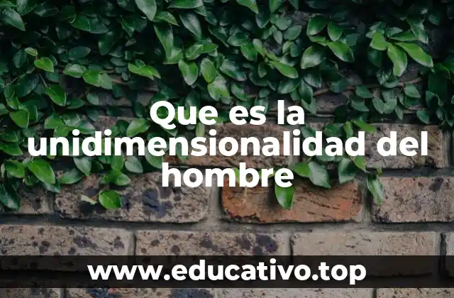 Que es la unidimensionalidad del hombre