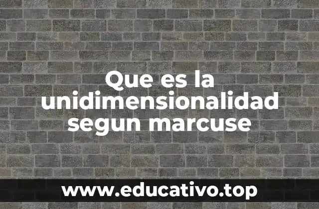 Que es la unidimensionalidad segun marcuse