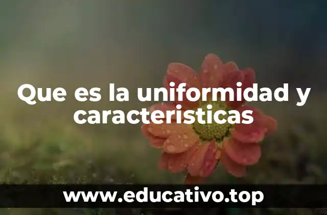 Que es la uniformidad y caracteristicas