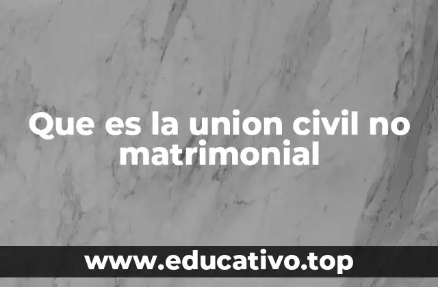 Que es la union civil no matrimonial