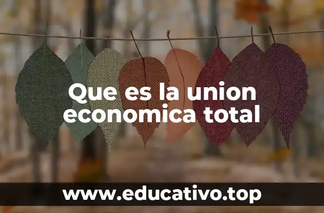 Que es la union economica total