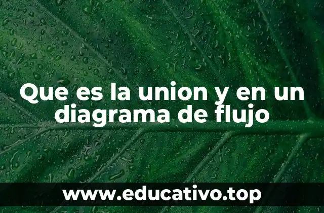 Que es la union y en un diagrama de flujo