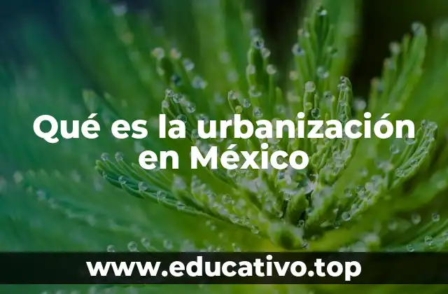 Qué es la urbanización en México