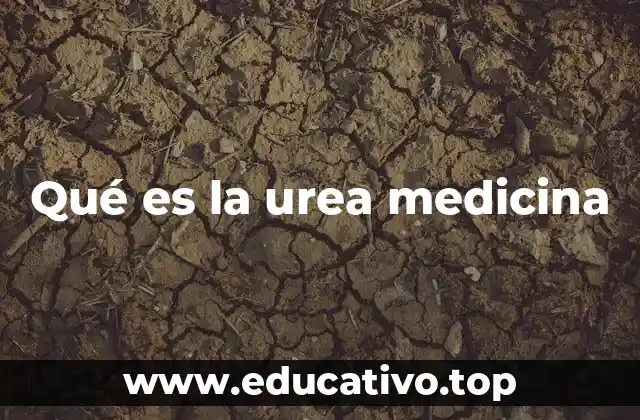 Qué es la urea medicina
