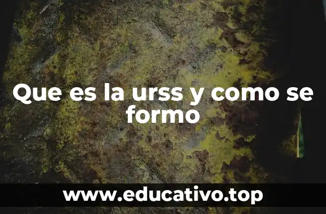 Que es la urss y como se formo