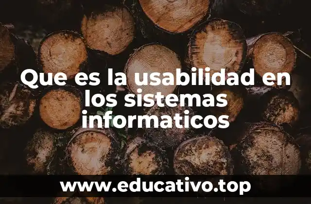 Que es la usabilidad en los sistemas informaticos