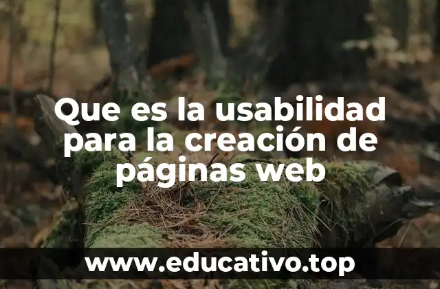 Que es la usabilidad para la creación de páginas web