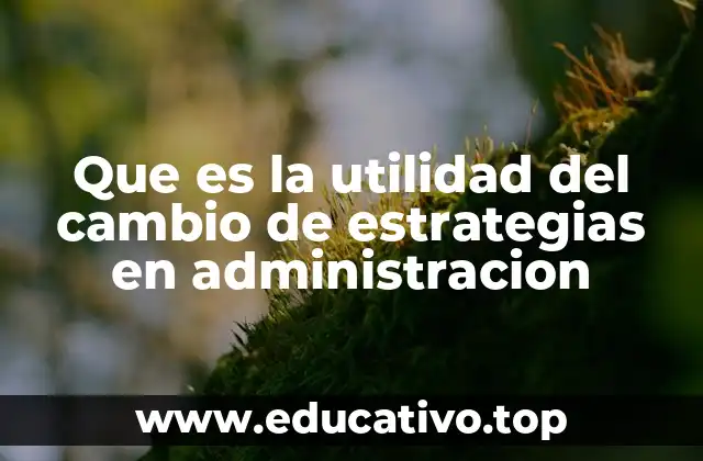 Que es la utilidad del cambio de estrategias en administracion