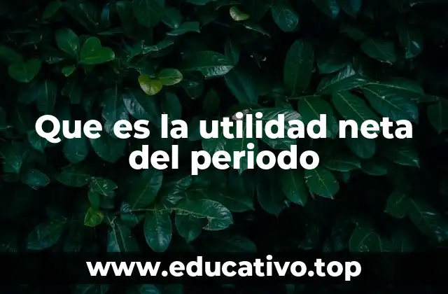 Cómo se calcula la utilidad neta del periodo