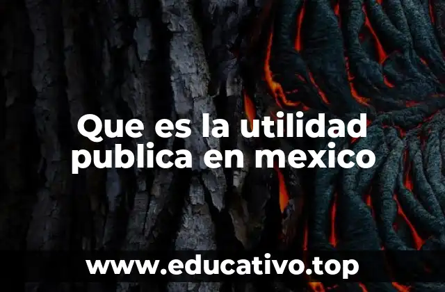 Que es la utilidad publica en mexico
