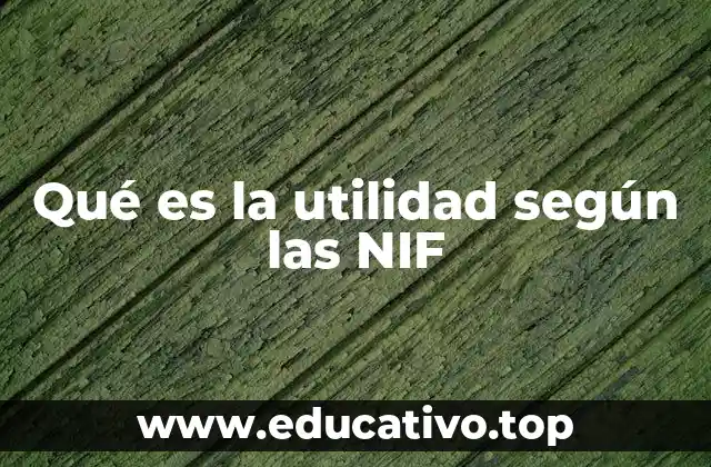Qué es la utilidad según las NIF
