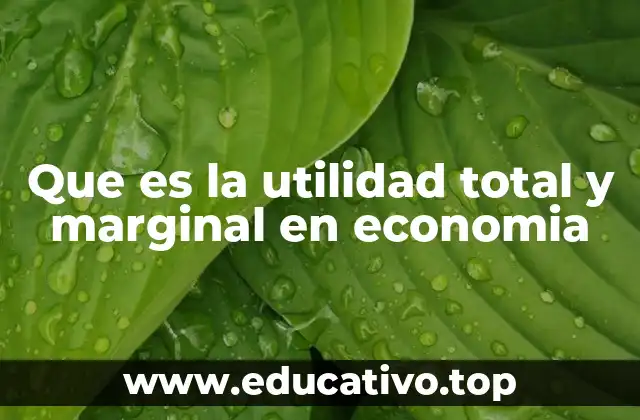 Que es la utilidad total y marginal en economia