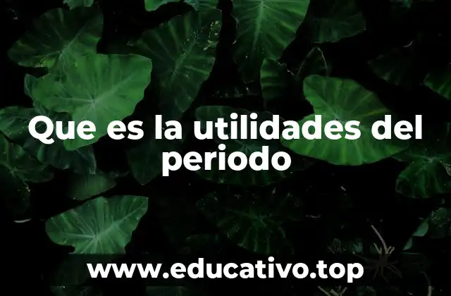 Que es la utilidades del periodo