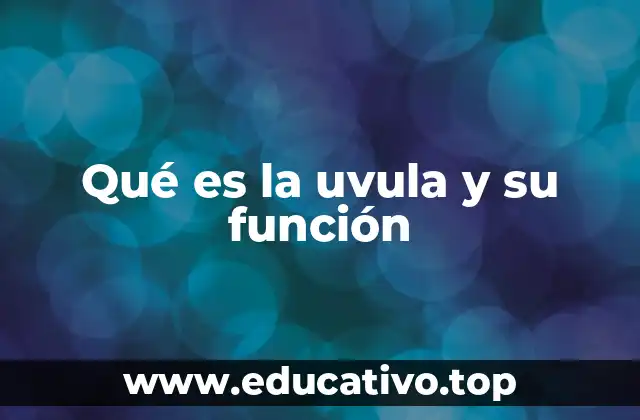 Qué es la uvula y su función