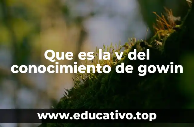 La representación visual de los componentes del conocimiento