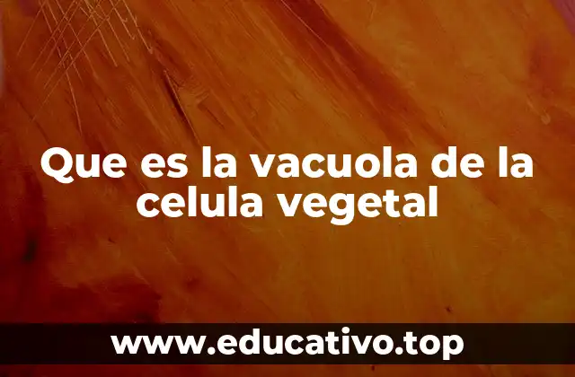 Que es la vacuola de la celula vegetal