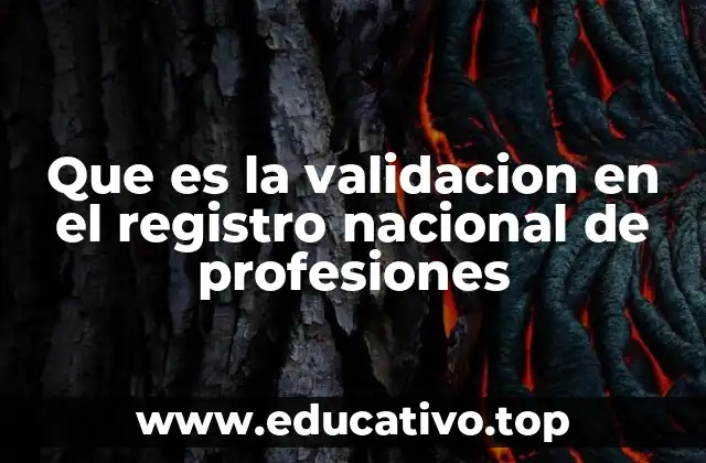 Que es la validacion en el registro nacional de profesiones