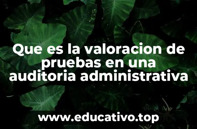 Que es la valoracion de pruebas en una auditoria administrativa
