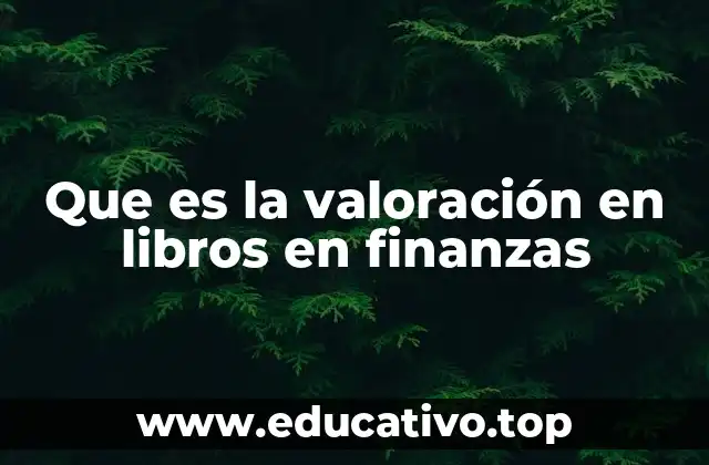 Que es la valoración en libros en finanzas