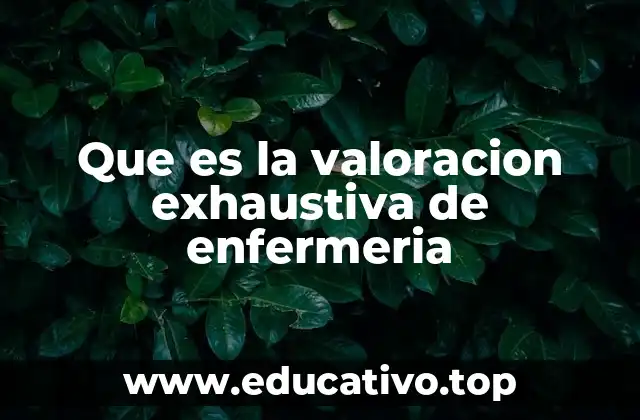 Que es la valoracion exhaustiva de enfermeria