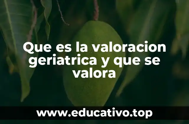Que es la valoracion geriatrica y que se valora