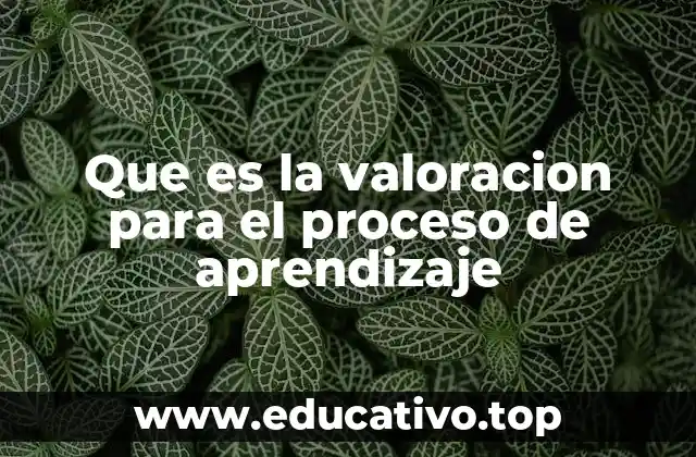 Que es la valoracion para el proceso de aprendizaje
