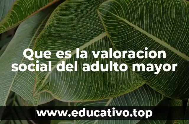 Que es la valoracion social del adulto mayor