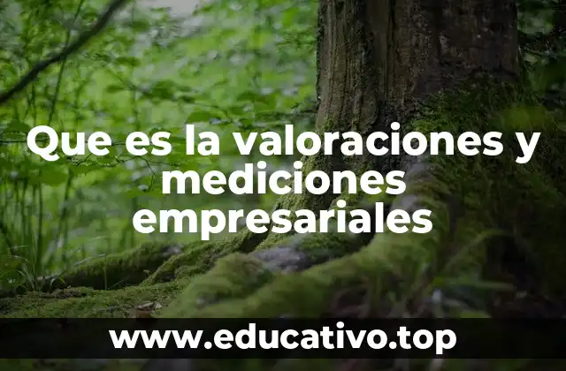 Que es la valoraciones y mediciones empresariales