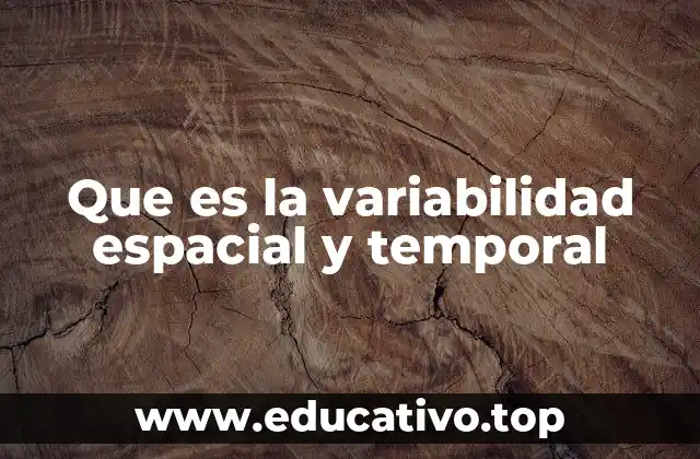Que es la variabilidad espacial y temporal