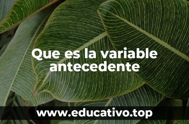 Que es la variable antecedente