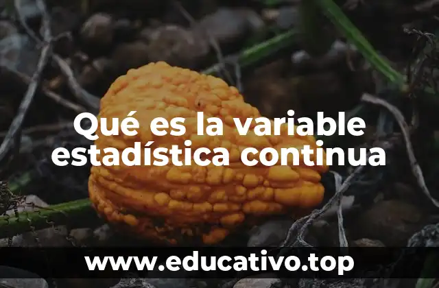 Qué es la variable estadística continua