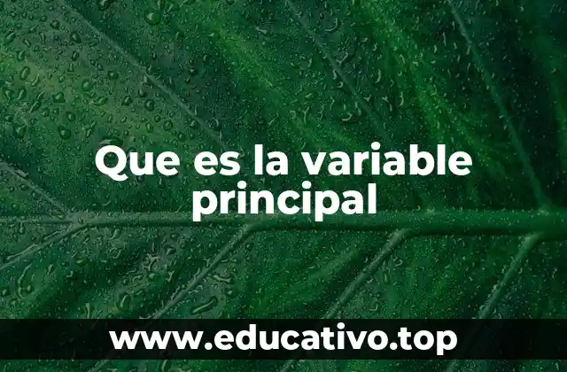 Que es la variable principal