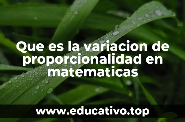 Que es la variacion de proporcionalidad en matematicas