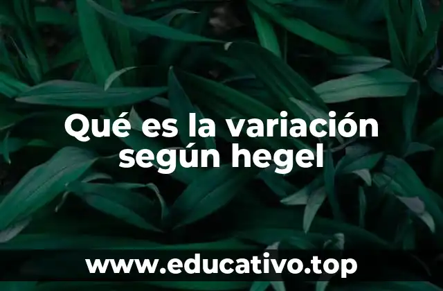 Qué es la variación según hegel