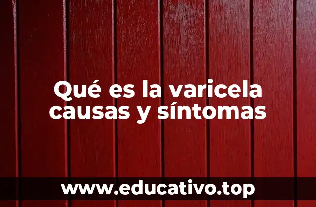 Qué es la varicela causas y síntomas