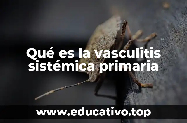 Qué es la vasculitis sistémica primaria