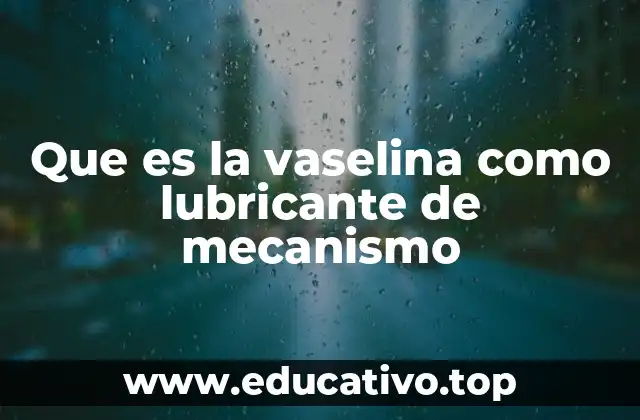 Que es la vaselina como lubricante de mecanismo